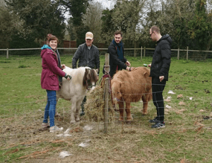 People we support spending time with shetland ponies