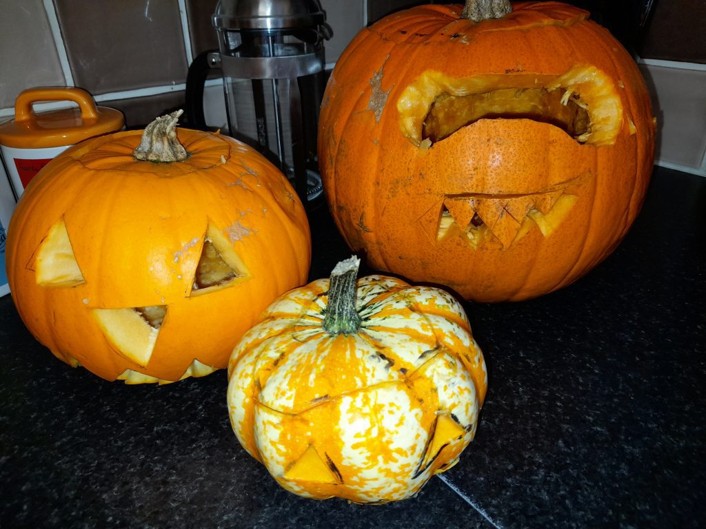 Penny Meadow Halloween competition